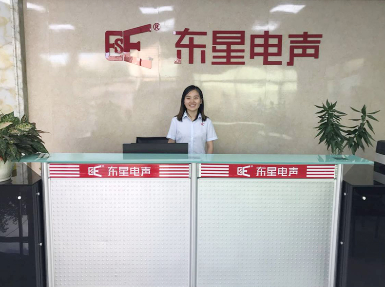 Eastern Star Electroacoustics Technology(Dongguan) Co.,Ltd.